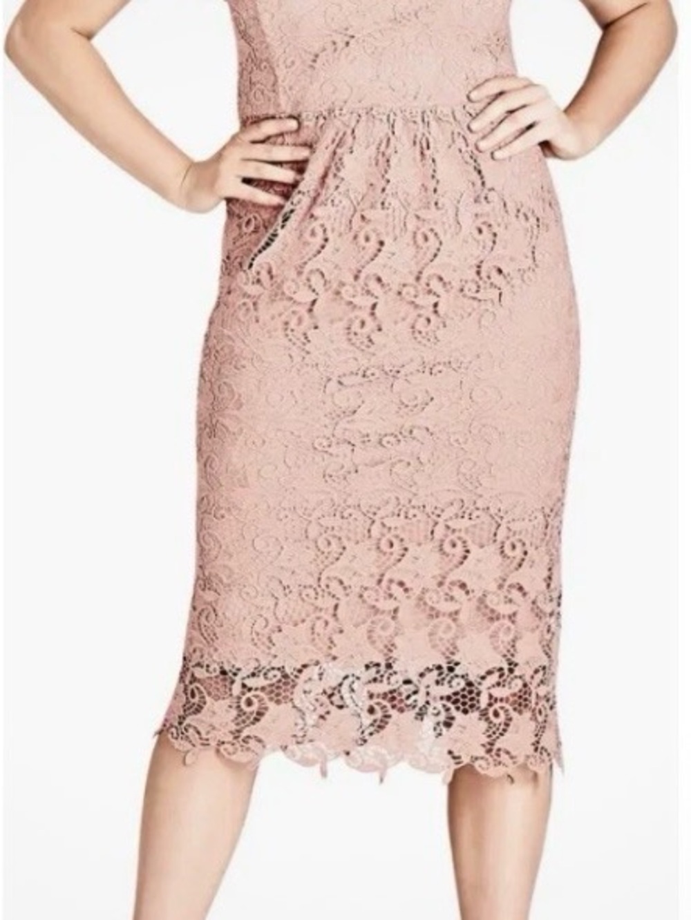 Lace Pencil Skirt in Ballet Pink